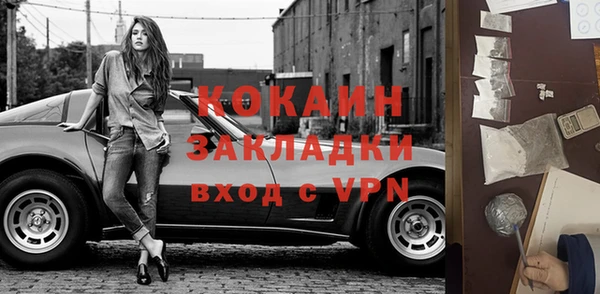 прущие грибы Усмань