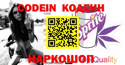 стафф Кингисепп