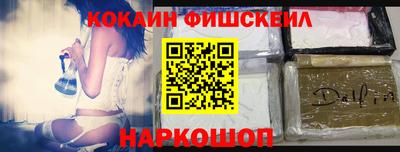 стафф Кингисепп