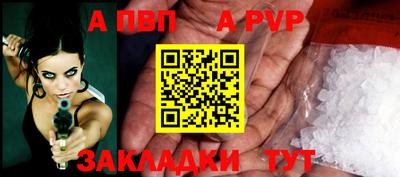 стафф Кингисепп