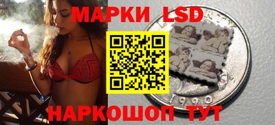 стафф Кингисепп