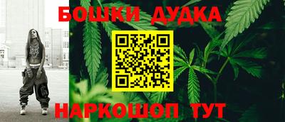 стафф Кингисепп