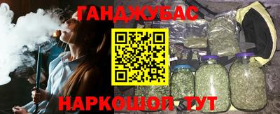 стафф Кингисепп
