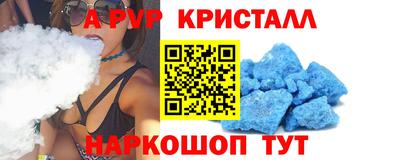 стафф Кингисепп