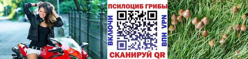цена   Похвистнево  ОМГ ОМГ сайт  Галлюциногенные грибы ЛСД 